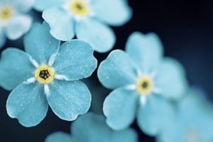 30 cách ứng xử trong cuộc sống bạn cần ghi nhớ